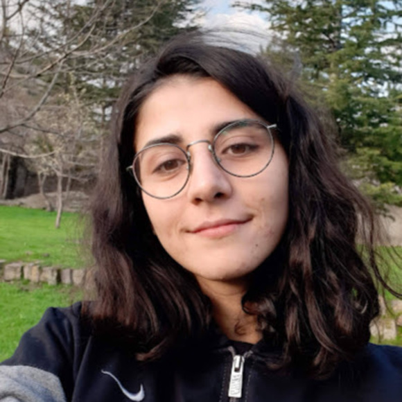 Meet your Posher, Dilruba - Picture 1 of 1